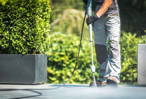 Best Roof Washing  in Eagle Lake, MN