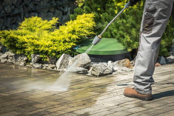 Best Spring Cleaning  in Eagle Lake, MN