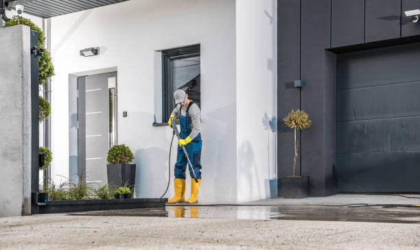 Best Building Exterior Washing  in Eagle Lake, MN